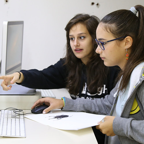 proposta educativa 03